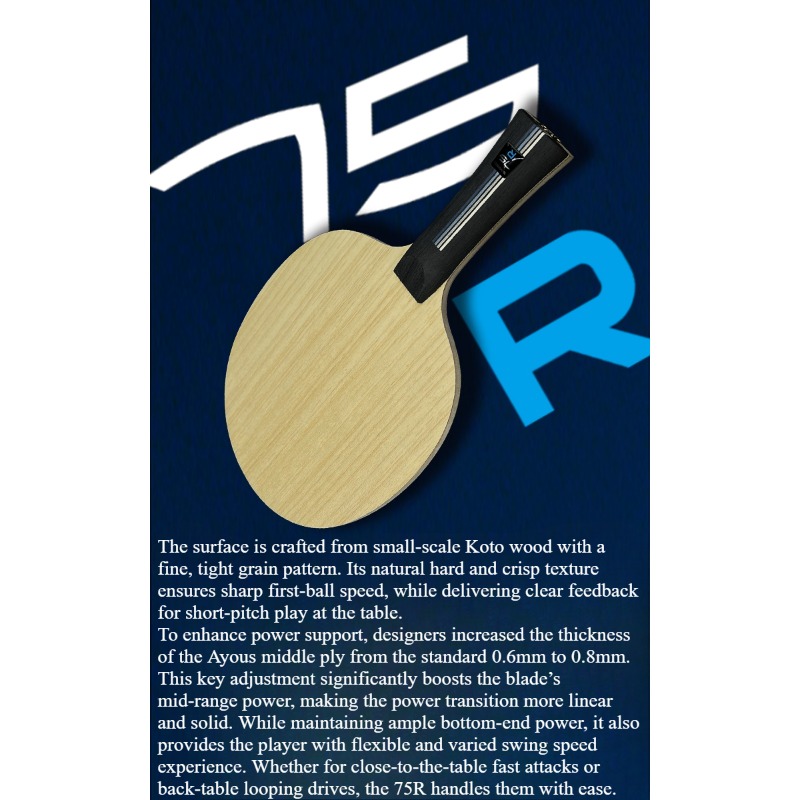 SANWEI 75R 5+2 Outer H-GLC Tab - Table Tennis Usa 评论和价格